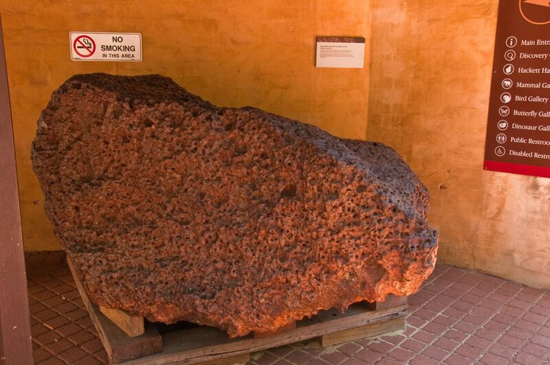File:Mundrabilla meteorite, Western Australia Museum.jpg