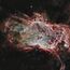 NASA-FlameNebula-NGC2024-20140507.jpg