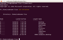 PowerShell for Linux 6.0 Alpha 9 on Ubuntu.png