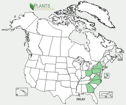Prunella laciniata range map.png