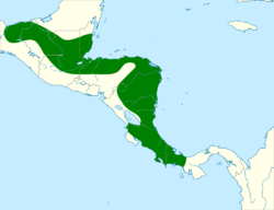 Ramphocelus passerinii map.svg