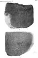 Ronzevalle's publication of the Sefire steles - Plate XL.jpg