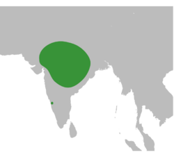 Salpornis spilonotus map.svg