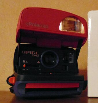 Spice Cam Polaroid (cropped).jpg
