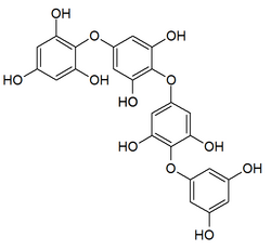 Tetraphlorethol C.png