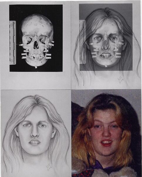 File:2D facial reconstruction.jpg
