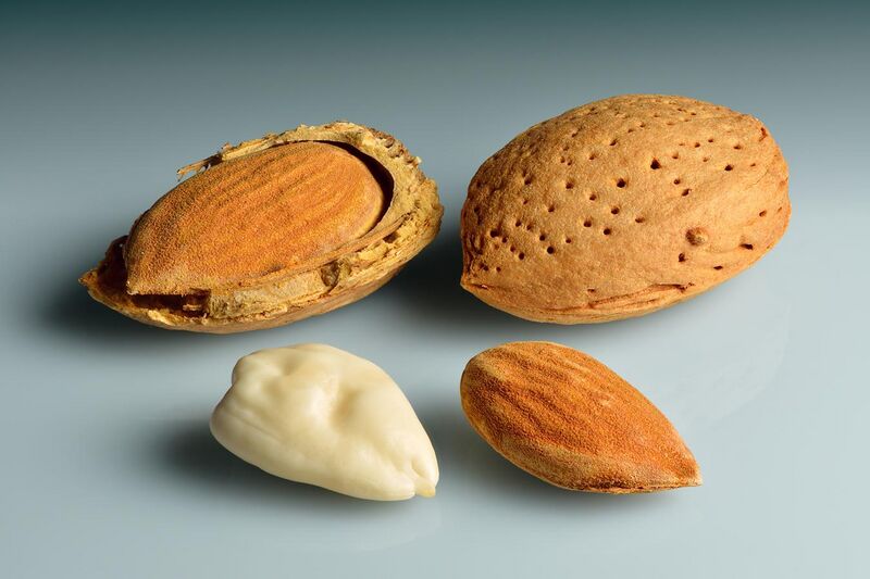 File:Almonds - in shell, shell cracked open, shelled, blanched.jpg