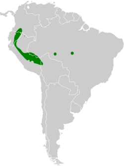 Anabazenops dorsalis map.svg