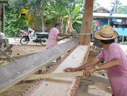 Building the Naga Pelangi - fitting the first plank.jpg