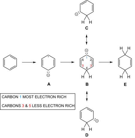 Cyclohexadienyl Anion1.svg