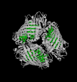 Fenna-Matthews-Olson complex protein trimer (PDB cartoon 4bcl).png