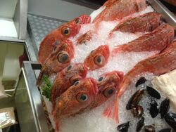 Hout Bay deep sea fish.JPG