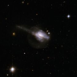 Hubble Interacting Galaxy UGC 5101 (2008-04-24).jpg