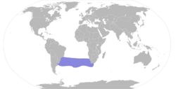 Procellaria conspicillata map.svg