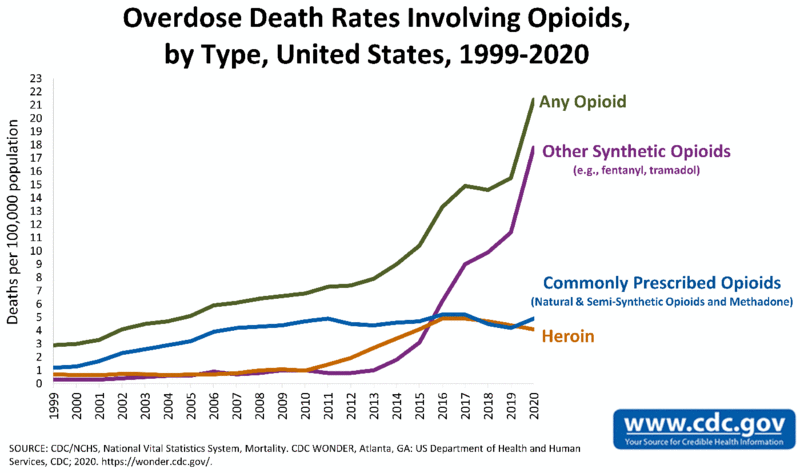 File:Timeline. Overdose death rates involving opioids, by type, United States.gif