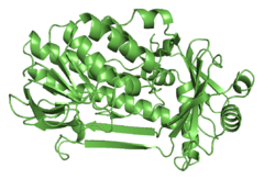 4-hydroxybenzoate 3-monooxygenase.png