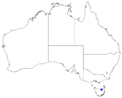 Boronia hemichiton DistMap56.png