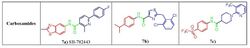 Carboxamides SAR.jpg