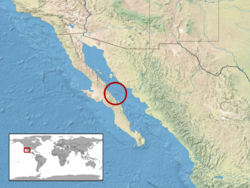 Crotalus tortugensis distribution.png