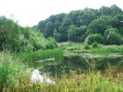 Far Pastures - geograph.org.uk - 52967.jpg