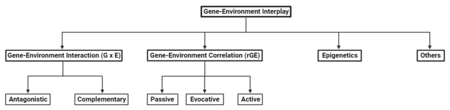 A flow chart depicting some of the different types of gene-environment interplay