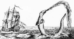 Hans Egede sea serpent 1734.jpg