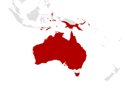 Map of the range of the Black-faced Cuckooshrike (Coracina novaehollandiae).svg