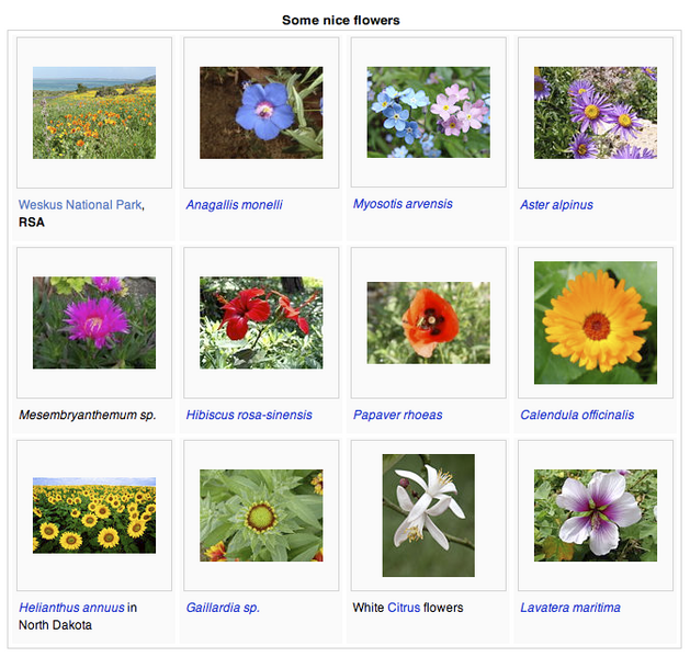 File:MediaWiki's gallery feature.png
