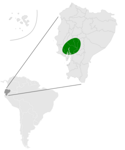 Molossops aequatorianus map.svg