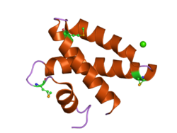 PDB 2dob EBI.png