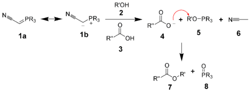 The mechanism of the phosphorane variant of the Mitsunobu reaction