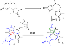 SantoninPhotochemicalreaction.png