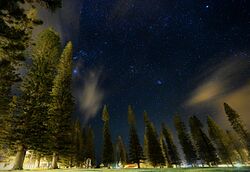 Stars from Dole Park, Lanai, Hawaii.jpg