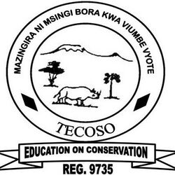 Tecoso Tanzania Arm.jpg