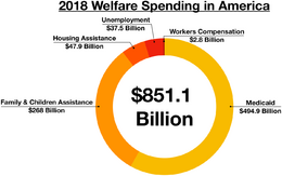 Welfare in America.png
