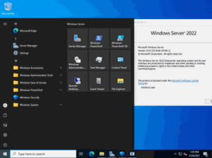 Windows Server 2022 screenshot.png