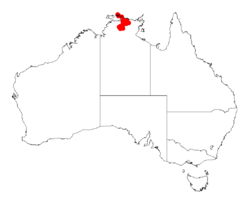 Acacia convalliumDistMap217.png