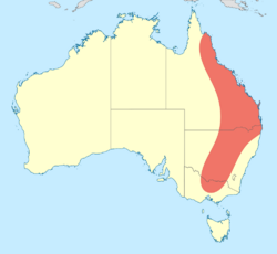 Antipodogomphus acolythus distribution map.svg