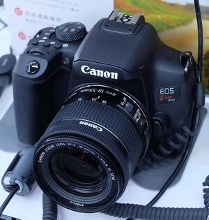 Canon EOS Kiss X10i 8 Jul 2020a.jpg