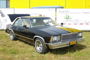 Chevrolet Malibu Landau BW 2016-09-03 14-13-26.jpg