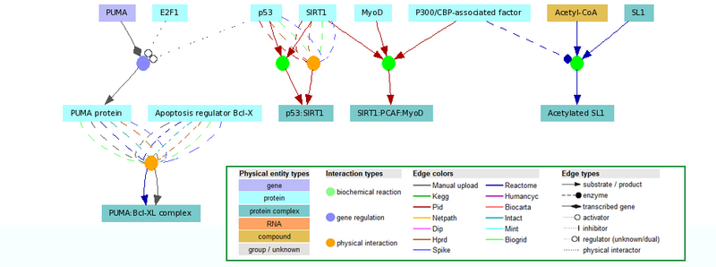 Cpdb network.png