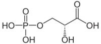 Skeletal structure of 3-Phosphoglyceric acid