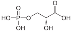 D-3-Phosphoglycerinsäure.svg