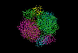 DAHP synthase quarternary structure.png