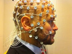 EEG recording.jpg