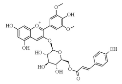 Chemical structure of malvidin 3-O-coumaroyl glucoside