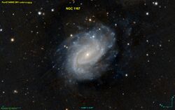 NGC 1187 PanS.jpg