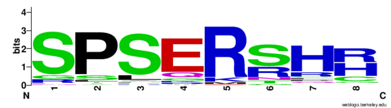 File:P-S-E-R-S-H-H-S Repeat Sequence Logo.png