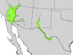 Prosopis pubescens range map.jpg
