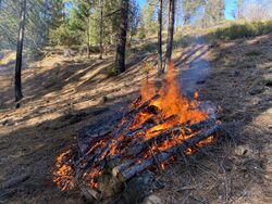 Wildwood Prescribed Pile Burning (51082380636).jpg